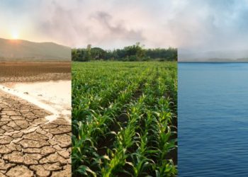 FMI sugiere plan de tres puntos para cumplir objetivos climáticos sin desaceleración económica