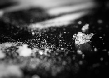 ¿Cómo Estados Unidos se inundó de metanfetaminas?