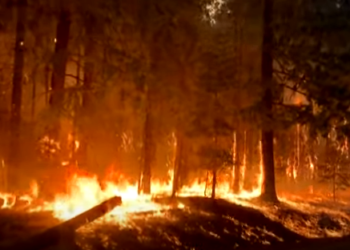 El gran incendio de California ya se ha convertido en el undécimo mayor de su historia