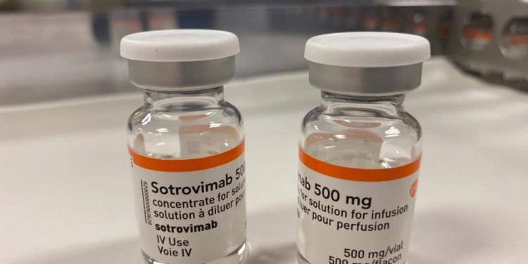 ¡Descubierto! Anticuerpo que neutraliza todas las variantes del Covid-19