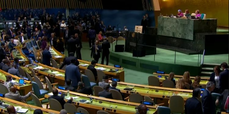 ¿Qué ocurre en una Asamblea General de la ONU?