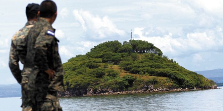 Palestra: Cosas de conejo