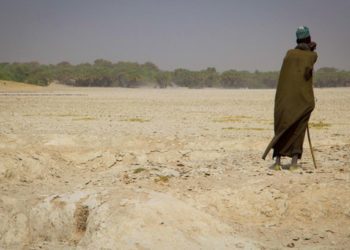 ¿Alguien paga la lucha contra el cambio climático?