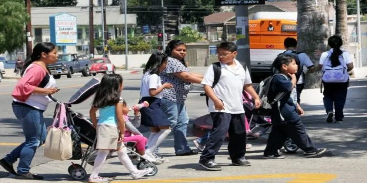 Texas y Florida fueron los estados que sumaron más hispanos, según informe emitido esta semana