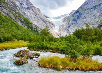 ¿Charles Darwin contra el cambio climático? Una idea suya de hace 150 años podría aplicarse