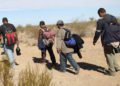 Caótica la persecución de "coyotes" que llevan indocumentados a EEUU en frontera con México