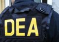 Agente de la DEA recibió millones de narcodólares; ahora pasará 12 años en prisión