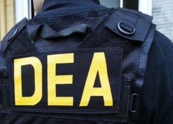 Agente de la DEA recibió millones de narcodólares; ahora pasará 12 años en prisión