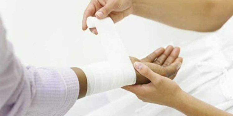 2021: el año con mayor número de muertes por rabia en EEUU en una década