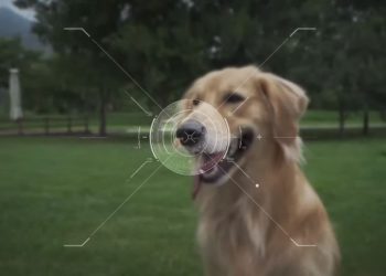 CES 2022: Conoce los mejores inventos del evento