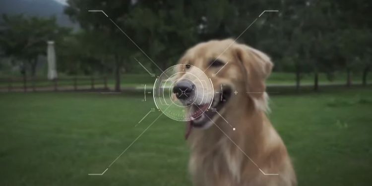 CES 2022: Conoce los mejores inventos del evento