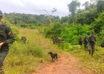 Se revelan nexos de la guerrilla y el régimen venezolano en frontera con Colombia