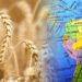 El conflicto entre Rusia y Ucrania afecta hasta los precios del trigo en Latinoamérica.