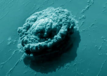 Imagen satelital evidencia la violenta erupción y la masiva nube de cenizas expulsadas por el volcán submarino de Tonga.