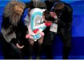 Secuelas del caso Valíeva: Rabia, lágrimas adolescentes, colapso olímpico "¡Odio este deporte!"