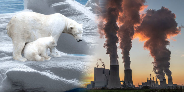 Algunas de las consecuencias del cambio climático ya son irreversibles.