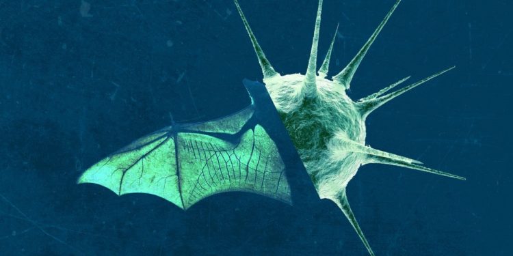 Científicos alertas ante aparición de nuevo coronavirus: NeoCoV