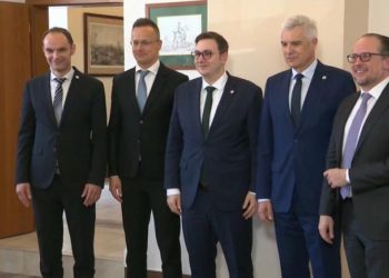 Importación de petróleo y gas ruso muestra divergencias en el C5