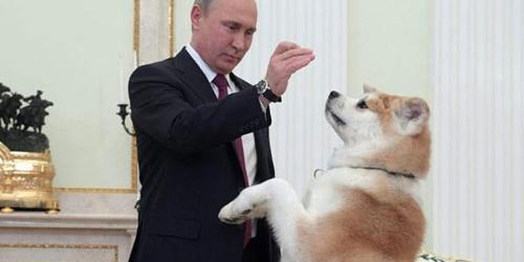 El redes sociales tratan de mostrar a un Vladimir Putin amable y cariñoso.
