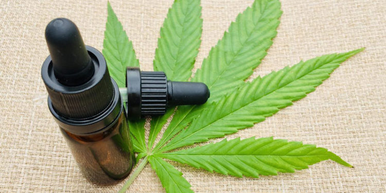 La marihuana medicinal ayuda a pacientes en, al menos, 5 tipos de patologías.