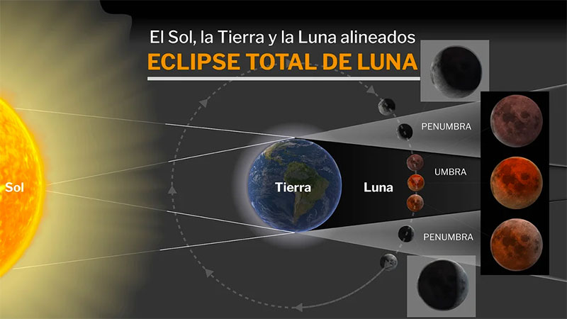 Infografía cortesía Marcelo Regalado - infobae.