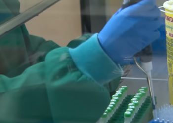 Aparecerán más casos de la viruela del mono, advierte la OMS