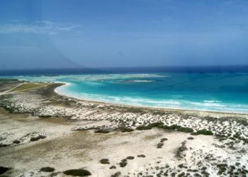 Zonas Económicas Especiales en Venezuela no poseen un marco legal coherente