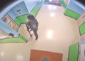 Momento en que el atacante armado entra a la escuela en Uvalde, para acabar con vidas inocentes.
