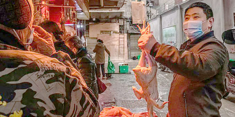 Dos estudios indican que el origen de la Covid 19 podría estar en el mercado de Wuhan. Pero no son concluyentes.