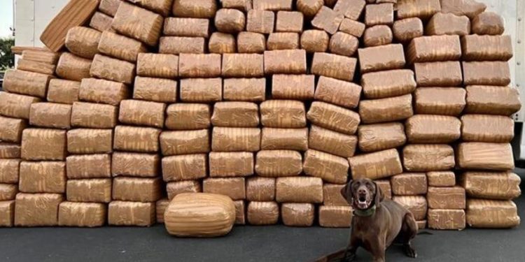 Fichaje de camiones de transporte lleva a la DEA a decomisos récord en frontera con México