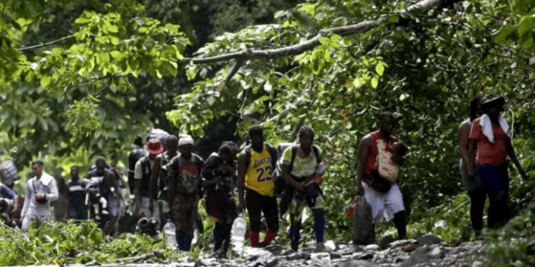 Diáspora venezolana: Expertos analizan la situación del Darién