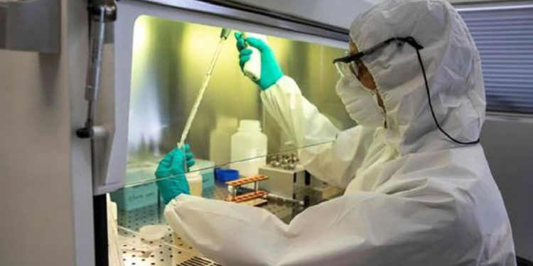 El índice de letalidad del nuevo virus se ubica entre el 40 y el 75 por ciento.