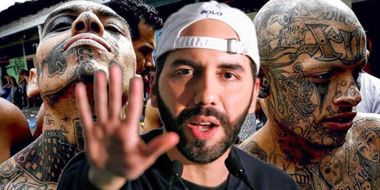 Nayib Bukele ha logrado controlar a las pandillas criminales en El Salvador.