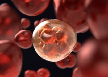 Los estudios clínicos apenas han avanzado, aunque en la dirección correcta, para lograr curar a pacientes con cáncer.