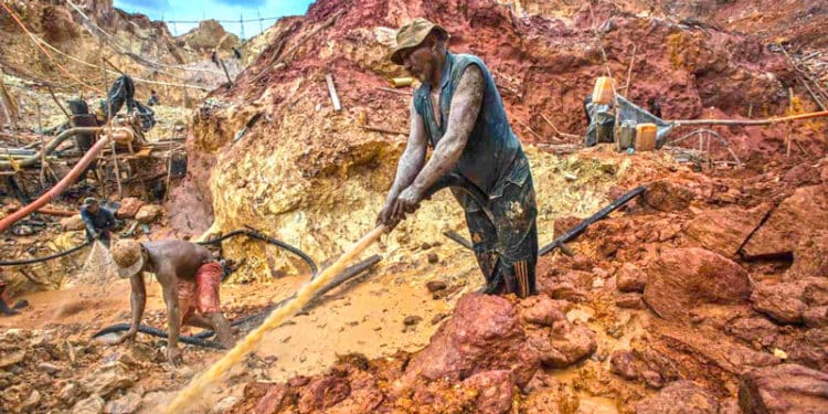 La minería desenfrenada en Venezuela ha acabado con hectáreas de bosques y dañado las cuencas hidrográficas.