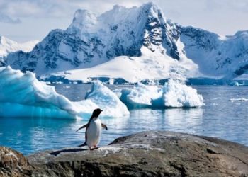 Rusia bloquea nuevamente medidas de protección de la Antártida