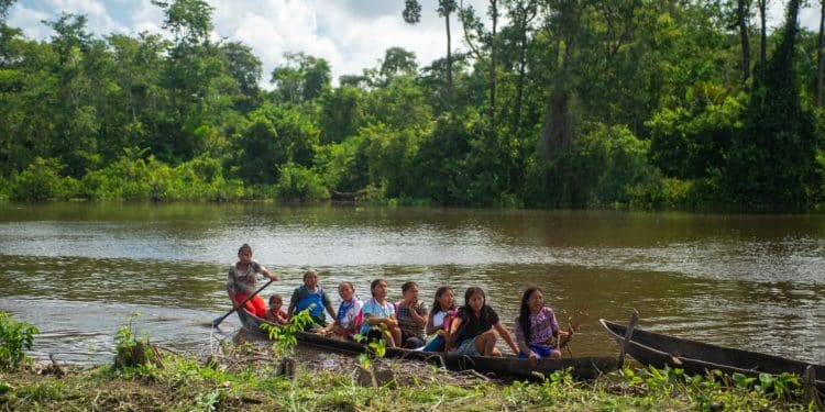 Miami conocerá el mundo Warao