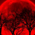 La Luna de Sangre de noviembre coincide con las elecciones intermedias. ¿Vendrán cambios en el Congreso?