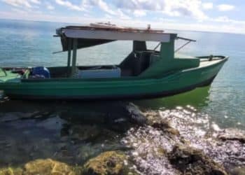 Patrulla fronteriza detiene a 110 cubanos que desembarcaban ilegalmente en costas de Florida