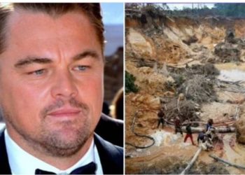Leonardo DiCaprio denunció deforestación brutal en Venezuela