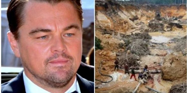 Leonardo DiCaprio denunció deforestación brutal en Venezuela