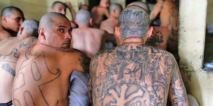 En el Salvador, Bukele puso a las maras tras las rejas, pero mantendría a mafias en el poder.