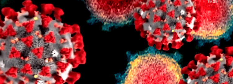 ¿Qué se sabe de la variante del Covid-19 XBB.1.5?