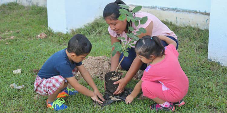 En Costa Rica, la preservación del ambiente se inculca desde el hogar y la escuela primaria.