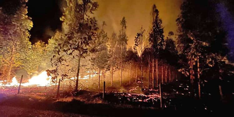 Se han contabilizado 26 fallecidos, más de 1.500 viviendas destruidas y 270.000 hectáreas quemadas.