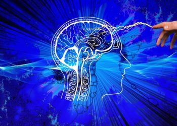 Inteligencia organoide: Nuevo rumbo de la IA