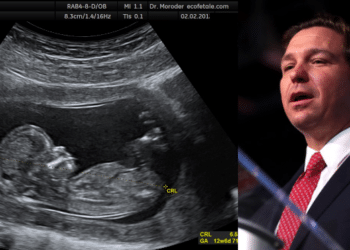 Florida: Ron DeSantis, la nueva ley de aborto y reacciones