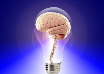 ¿Nos estamos volviendo menos inteligentes?