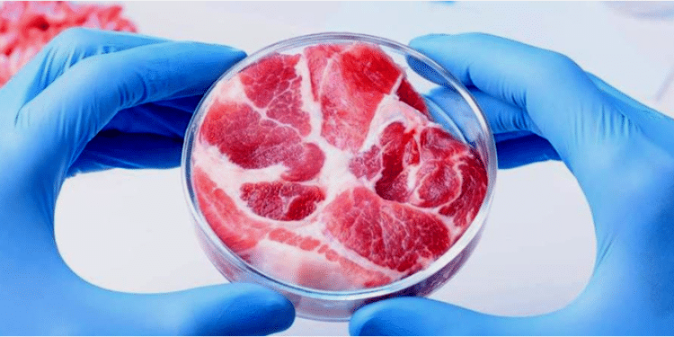 Carne de laboratorio…¿25 veces peor para el clima que la carne de res?