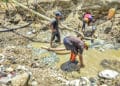 La extracción ilegal de oro es un grave problema medioambiental, por la contaminación con mercurio y químicos tóxicos, que contamina ríos y arroyos.